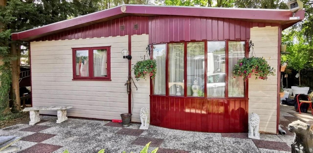 Retro Relax Resort Midden In Het Bos Op De Veluwe In Putten Εξωτερικό φωτογραφία
