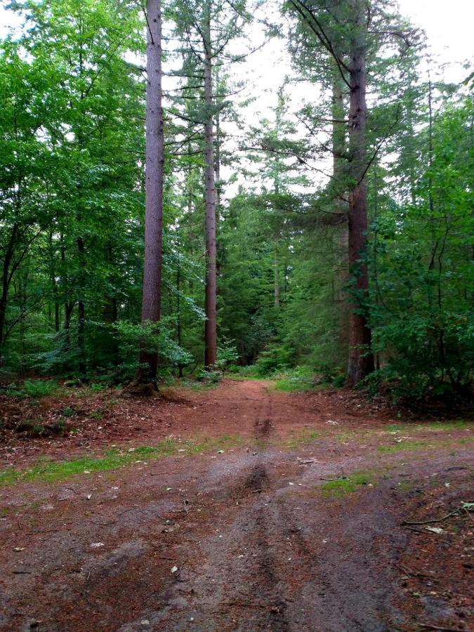 Retro Relax Resort Midden In Het Bos Op De Veluwe In Putten Εξωτερικό φωτογραφία